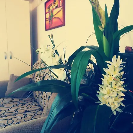 Apartment Monolocale Centro *